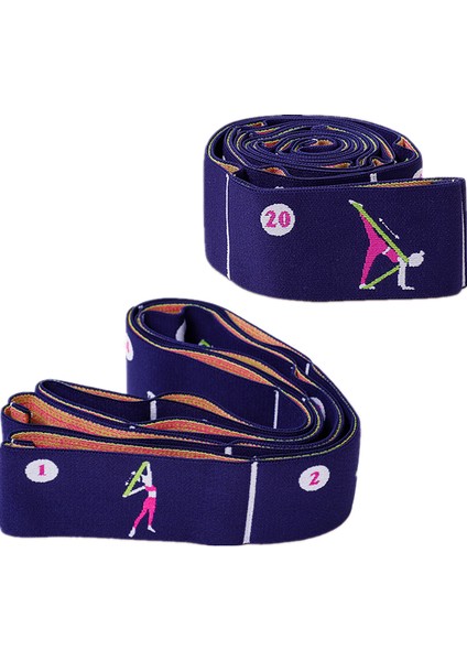 Gri Tarzı 11 Izgara Çok Segmentli Yoga Direnç Bandı Acemi Dans Pilates Yardımcı Germe Kemeri Yetişkin Latin Eğitim Elastik Bantlar (Yurt Dışından)