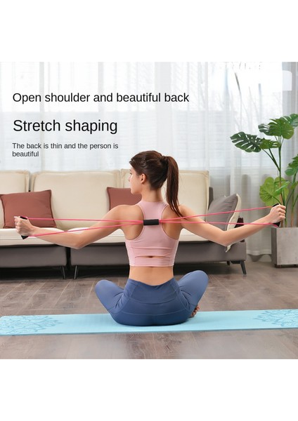 Gri Tarzı S-Yoga Açık Omuz ve Sırt Germe Bandı Çekme Ipi Geri Çekme Çubuğu (Yurt Dışından) modelleri