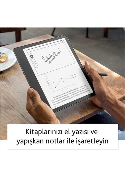 Scribe 10.2" E Kitap Okuyucu Premium Pen 16 GB fırsatları