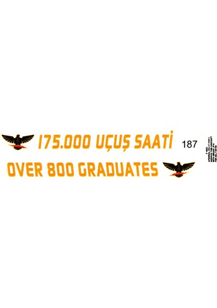 DBT01187 1/48 Öncel Filo, Dekal Çıkartma