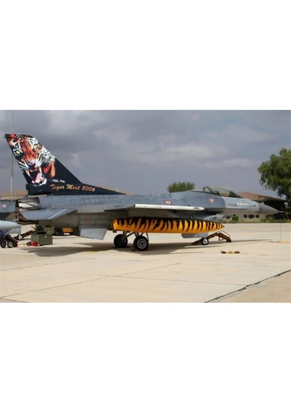 DBT01014 1/48 F-16 C, Tigermeet 2006, Dekal Çıkartma