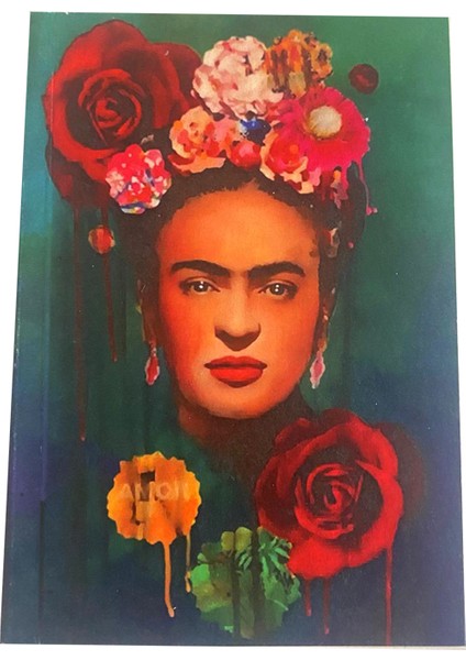 Frida Desenli Defter (3 ad)