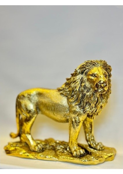 Byk.aslan Kaplama -082