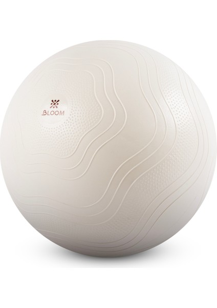 LB7051 65 cm Pilates Topu Beyaz modelleri
