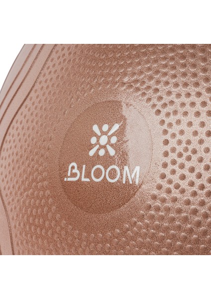 LB7051 65 cm Pilates Topu Kahverengi