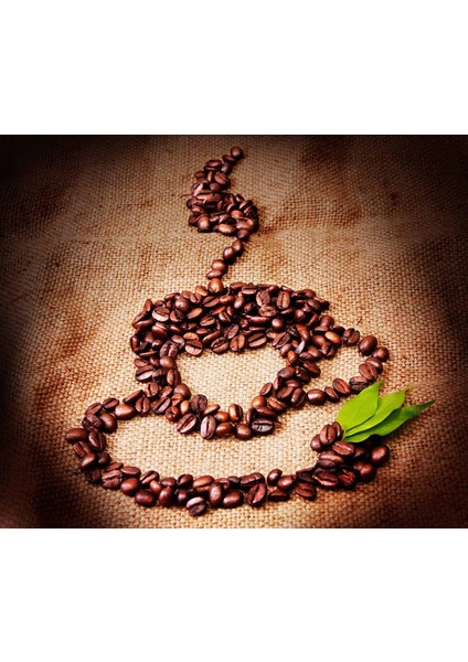 Kahve Çekirdekli Fincan Desenli Cafe