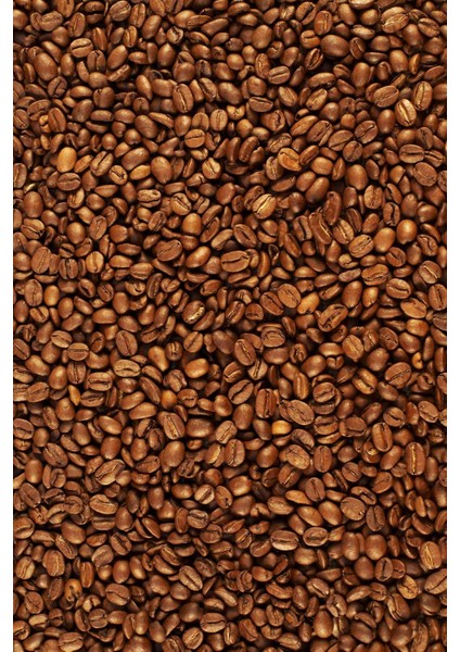 Kahve Çekirdekleri Temalı Cafe Duvar Kağıdı Baskı