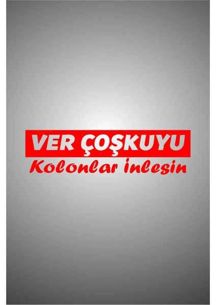 Laputa Tükkan 30 x 8 cm Ver Coşkuyu Yazılı Oto Sticker Araba Cam Sticker