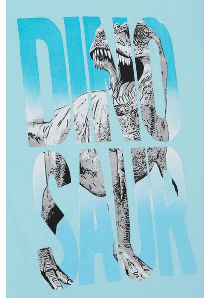 Erkek Çocuk Tişört Kükreyen Dinozor Baskılı 5-10 Yaş, Açık Mavi fırsatları