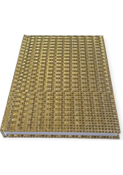 Nt-27 Sert Kapak Simli Noktalı Not Defteri 13,5 x 19CM Çizgili