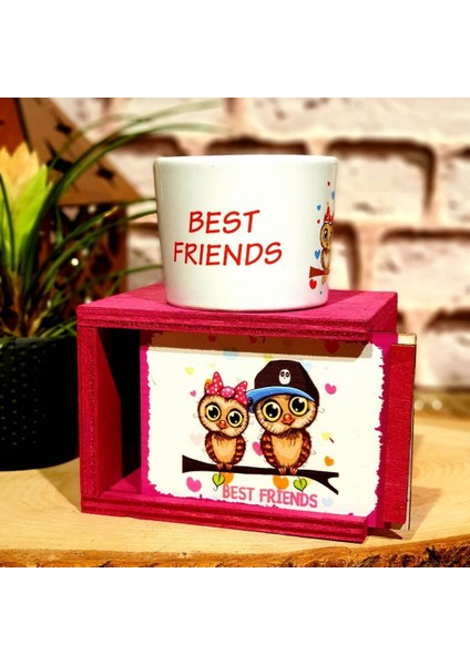 Best Friends Yastık ve Renkli Kutulu Kupa Arkadaşa Hediye Seti fiyatları