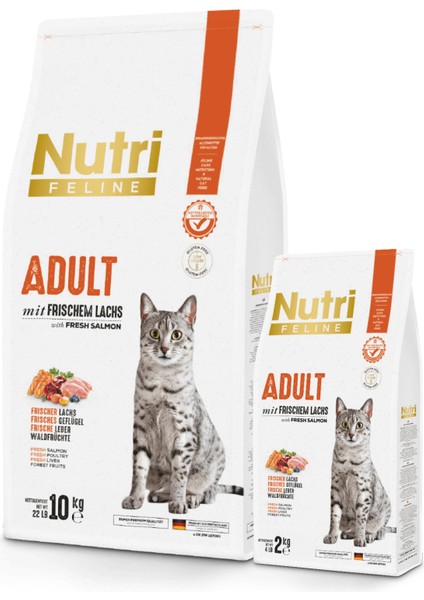 Adult Somon Etli 2kg Yetişkin Kedi Maması