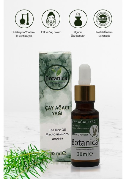 Çay Ağacı Yağı - Melaleuca Alternifolia - Sivilce Kurutma Tea Tree Oil Cilt Sağlığı Uçucu Yağ