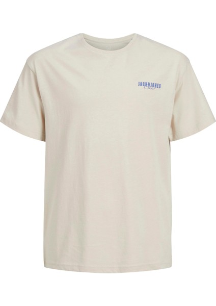 Jjstyd Loose Graphıc Tee Ss Cneck Ln Jnr Çocuk Bej Tshirt 12270140-06