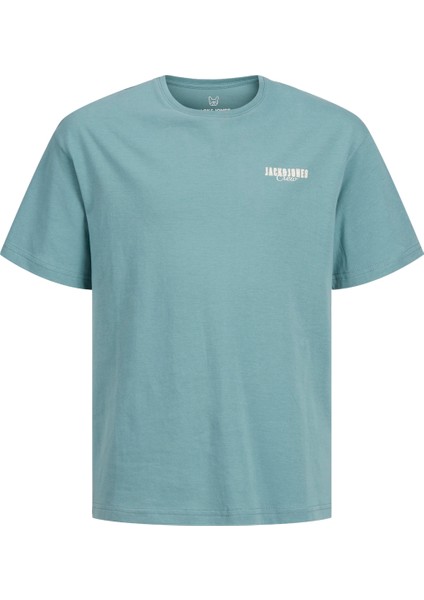 Jjstyd Loose Graphıc Tee Ss Cneck Ln Jnr Çocuk Mavi Tshirt 12270140-07