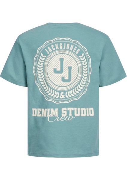 Jjstyd Loose Graphıc Tee Ss Cneck Ln Jnr Çocuk Mavi Tshirt 12270140-07 fiyatları