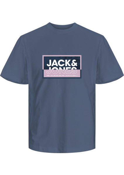 Jcologan Summer Prınt Tee Crew Neck Fst Erkek Gri Tshirt 12259908-05