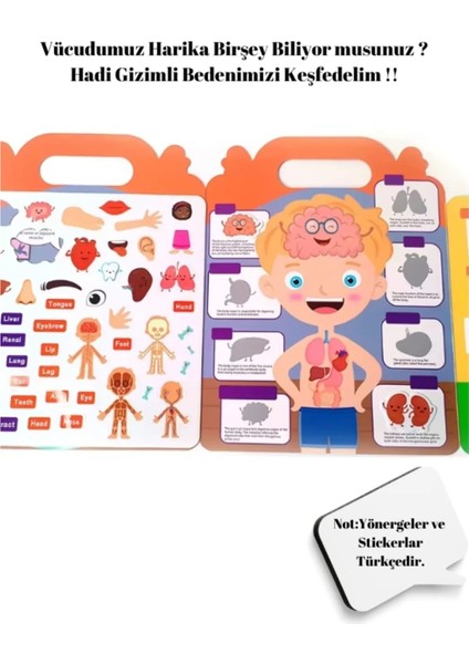 Tekrar Tekrar Kullanılabilen İlk Sticker Kitabım My Body! - Vücudum indirimleri