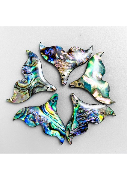 No.5 Boyutu 5 Adet Doğal Abalone Kabuk Balık Kuyruğu Kolye Charms Inci Kabuk Dıy Takı Yapımı Için 25*20MM Balık Kuyruğu Deniz Kabuğu Hediye (Yurt Dışından)