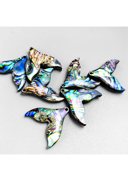 No.5 Boyutu 5 Adet Doğal Abalone Kabuk Balık Kuyruğu Kolye Charms Inci Kabuk Dıy Takı Yapımı Için 25*20MM Balık Kuyruğu Deniz Kabuğu Hediye (Yurt Dışından) modelleri