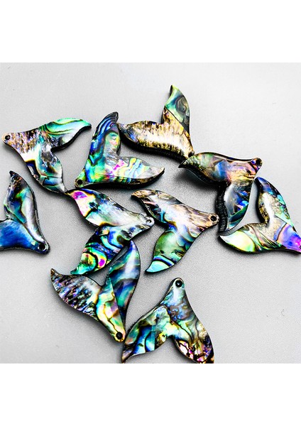 No.5 Boyutu 5 Adet Doğal Abalone Kabuk Balık Kuyruğu Kolye Charms Inci Kabuk Dıy Takı Yapımı Için 25*20MM Balık Kuyruğu Deniz Kabuğu Hediye (Yurt Dışından) fırsatları