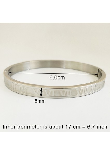 Rn-Titanyum-6mm Güzel Paslanmaz Çelik Bilezikler Kadın Sevgilisi Bilezik ve Bilezikler Kadın Için Altın Aşk Pulseiras Kristal Düğün Feminina Takı (Yurt Dışından)