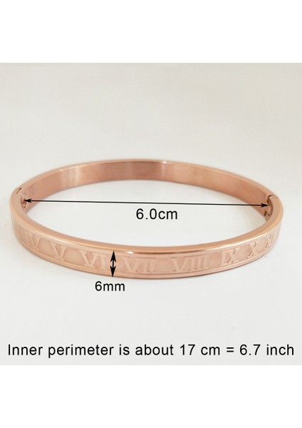 Rn-Gül-6mm Güzel Paslanmaz Çelik Bilezikler Kadın Sevgilisi Bilezik ve Bilezikler Kadın Için Altın Aşk Pulseiras Kristal Düğün Feminina Takı (Yurt Dışından)