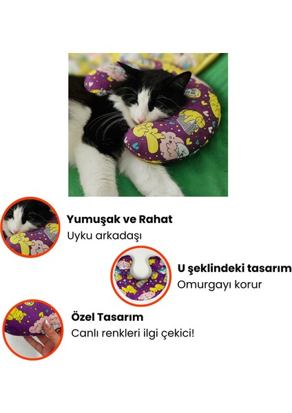 Pisipisiesta 4'lü Kedi Oyuncak Seti Kedi Yastığı, Kedi Oltası ve Catnipli Peluş Kedi Oyuncakları