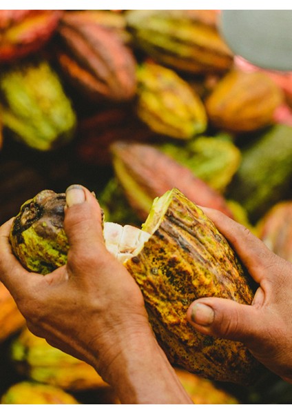 Peru San Martin Kavrulmuş Kakao Çekirdeği 100G modelleri