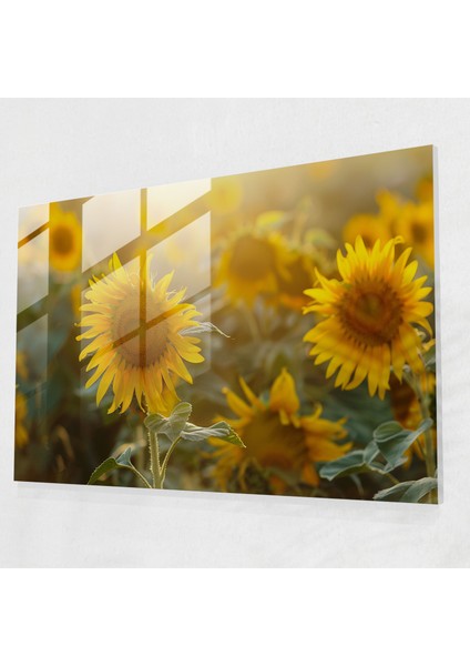 Claude Monet Cam Duvar Sanatı - Ayçiçeği Ev Dekorasyonu - Claude Monet, Cam Duvar Sanatı, Claude Monet, Modern Sanat, 45 x 30 cm