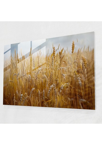 Claude Monet Cam Sanatı - Buğday Tarlası - Claude Monet, Ev Dekorasyonu, Cam Sanatı, Duvar Dekorasyonu, 45 x 30 cm
