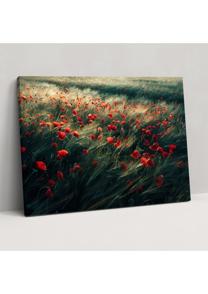 Haşhaş Tarlası Kanvas Tablo - Claude Monet, Ev Dekorasyonu, Kanvas Tablo, 50 x 30 cm