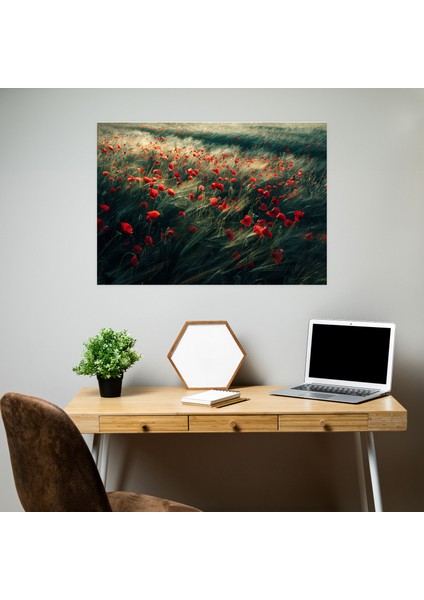 Haşhaş Tarlası Kanvas Tablo - Claude Monet, Ev Dekorasyonu, Kanvas Tablo, 50 x 30 cm fiyatları