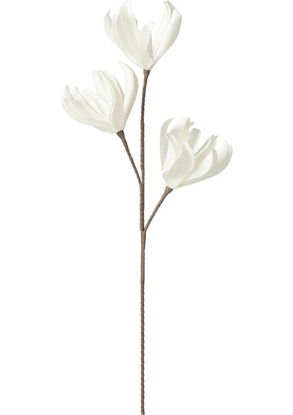 Magnolıa Dal / 94 cm