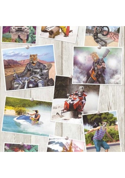 Free Style Fransız Duvar Kağıdı L390-01 (5m2) fiyatları