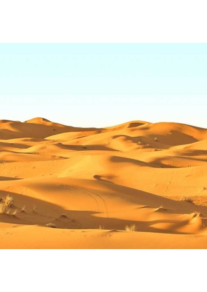 Sahara Nıghts Fransız Duvar Kağıdı SK10048 (Bordür) (5m2)