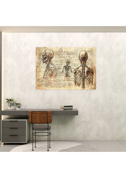 Leonardo Da Vinci Anatomy Studies Canvas Print - Leonardo Da Vinci, Canvas Print, Leonardo Da Vinci, Wall Art, 50X30 fiyatları