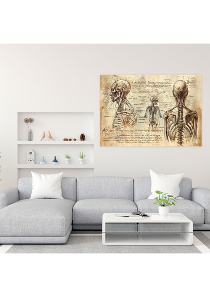 Leonardo Da Vinci Anatomy Studies Canvas Print - Leonardo Da Vinci, Canvas Print, Leonardo Da Vinci, Wall Art, 50X30 modelleri