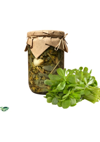 Semizotu Turşusu 650 Ml.