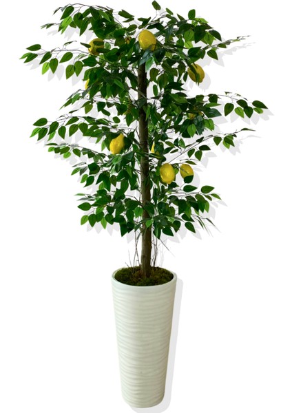 Yapay Ağaç Limon Ağacı 170 cm 56X30X20 Beyaz Kumsal Saksı