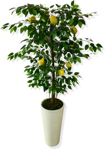 Yapay Ağaç Limon Ağacı 170 cm 56X30X20 Beyaz Kumsal Saksı fiyatları