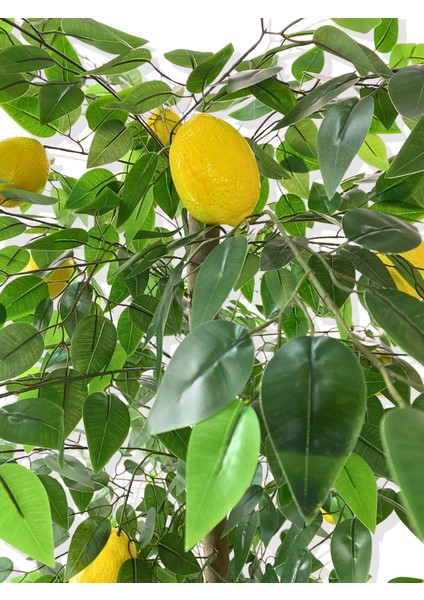 Yapay Ağaç Limon Ağacı 170 cm 56X30X20 Beyaz Kumsal Saksı fırsatları