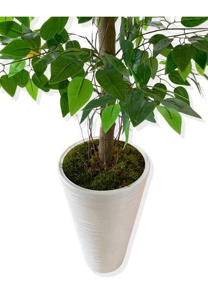 Yapay Ağaç Limon Ağacı 170 cm 56X30X20 Beyaz Kumsal Saksı indirimleri