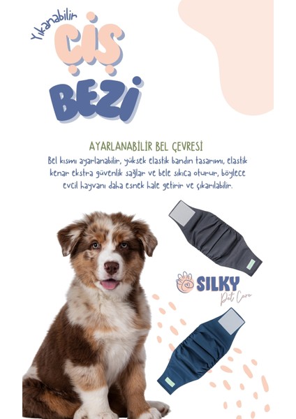 - Erkek Köpek Çiş Bezi / Yıkanabilir