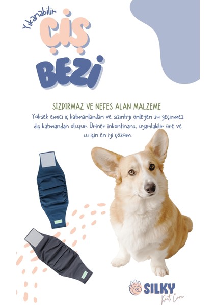 - Erkek Köpek Çiş Bezi / Yıkanabilir