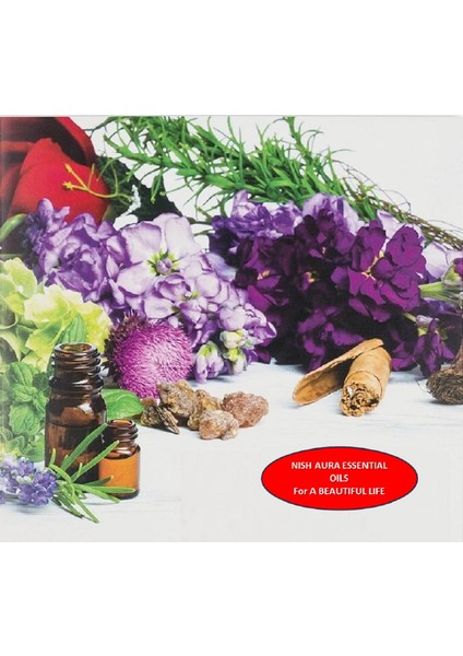 10ML Lavanta-Lavender Oda Kokusu Aromatik Esansiyel Uçucu Yağ Buhurdanlık Yağı Difüzör Esansı Aromaterapi Doğal Ortam Kokusu