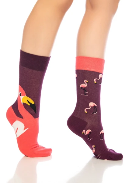 Unisex Bordo Flamingo Renkli Çorap