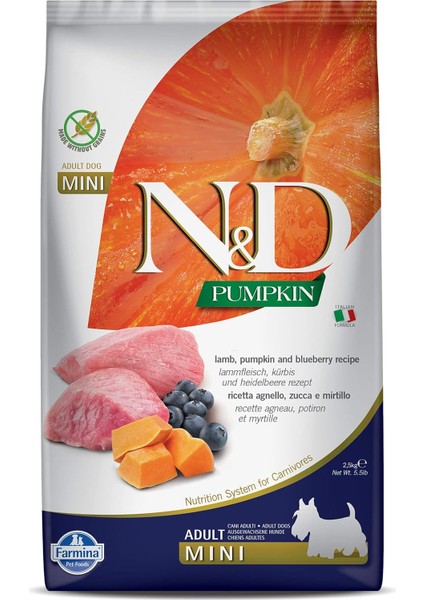 Pumpkin Tahılsız Köpek Maması, Kuzu & Yabanmersini Yetişkin Mini 2.5 kg