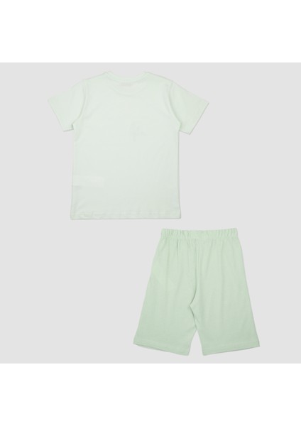 Erkek Çocuk Dinazor Baskılı Pijama Takımı fiyatları