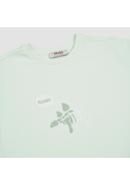 Erkek Çocuk Dinazor Baskılı Pijama Takımı modelleri